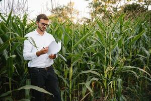 retrato do uma lindo jovem agricultor trabalhando dentro a campo, feliz, dentro uma camisa, milho campo. conceito ecologia, transporte, agricultores, limpar \ limpo ar, comida, bio produtos. foto