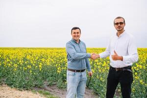 dois agricultor em pé dentro uma verde estupro campo e mexe mãos foto