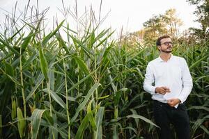 feliz agricultor dentro a campo verificação milho plantas durante uma ensolarado verão dia, agricultura e Comida Produção conceito. foto