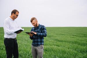 dois agricultor em pé dentro uma trigo campo e olhando às tábua, elas estão examinando corporação. jovem bonito agrônomo. agronegócio conceito. agrícola engenheiro em pé dentro uma trigo campo. foto