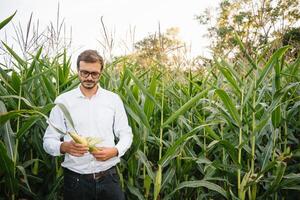 feliz agricultor dentro a campo verificação milho plantas durante uma ensolarado verão dia, agricultura e Comida Produção conceito. foto