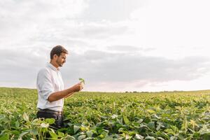 retrato do jovem agricultor em pé dentro soja campo foto