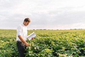 retrato do jovem agricultor em pé dentro soja campo. foto