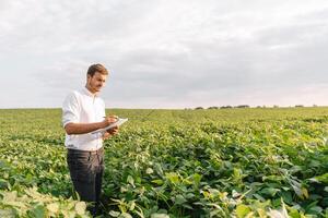 agrônomo inspecionando soja feijão cultivo crescendo dentro a Fazenda campo. agricultura Produção conceito. agronegócio conceito. agrícola engenheiro em pé dentro uma soja campo foto