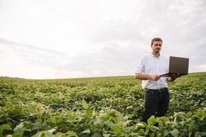 agrônomo inspecionando soja feijão cultivo crescendo dentro a Fazenda campo. agricultura Produção conceito. agronegócio conceito. agrícola engenheiro em pé dentro uma soja campo foto