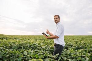 agrônomo inspecionando soja feijão cultivo crescendo dentro a Fazenda campo. agricultura Produção conceito. agronegócio conceito. agrícola engenheiro em pé dentro uma soja campo foto