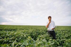 jovem agricultor dentro arquivado examinando soja corporação. ele é polegares acima foto