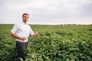 retrato do jovem agricultor em pé dentro soja campo. foto