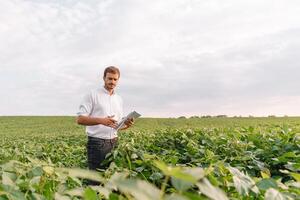 jovem agricultor dentro arquivado examinando soja corporação. ele é polegares acima. foto