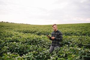 agrônomo inspecionando soja feijão cultivo crescendo dentro a Fazenda campo. agricultura Produção conceito. agronegócio conceito. agrícola engenheiro em pé dentro uma soja campo foto