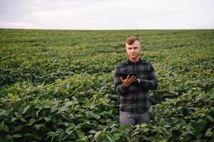 jovem agrônomo detém tábua toque almofada computador dentro a soja campo e examinando cultivo antes colheita. agronegócio conceito. agrícola engenheiro em pé dentro uma soja campo com uma tábua dentro verão. foto