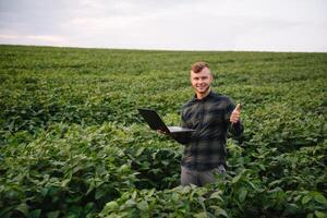 agrônomo inspecionando soja feijão cultivo crescendo dentro a Fazenda campo. agricultura Produção conceito. agronegócio conceito. agrícola engenheiro em pé dentro uma soja campo foto