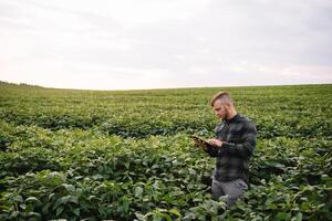 agrônomo inspecionando soja feijão cultivo crescendo dentro a Fazenda campo. agricultura Produção conceito. agronegócio conceito. agrícola engenheiro em pé dentro uma soja campo foto