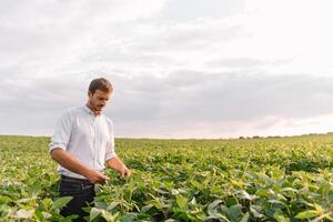 agrônomo inspecionando soja feijão cultivo crescendo dentro a Fazenda campo. agricultura Produção conceito. agronegócio conceito. agrícola engenheiro em pé dentro uma soja campo foto