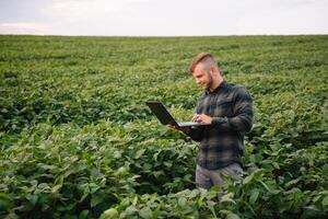 agrônomo inspecionando soja feijão cultivo crescendo dentro a Fazenda campo. agricultura Produção conceito. agronegócio conceito. agrícola engenheiro em pé dentro uma soja campo foto