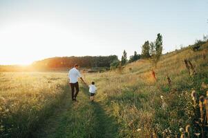 bonito Papai com dele pequeno fofa filho estão tendo Diversão e jogando em verde gramíneo grama. feliz família conceito. beleza natureza cena com família ao ar livre estilo de vida. família em repouso junto. pais dia. foto