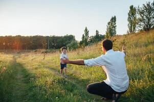 bonito Papai com dele pequeno fofa filho estão tendo Diversão e jogando em verde gramíneo grama. feliz família conceito. beleza natureza cena com família ao ar livre estilo de vida. família em repouso junto. pais dia. foto