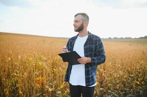 agrônomo inspecionando soja feijão cultivo crescendo dentro a Fazenda campo. agricultura Produção conceito. jovem agrônomo examina soja colheita em campo. agricultor em soja campo. foto