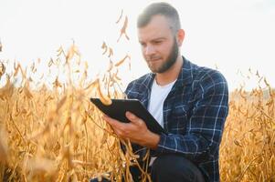 agricultor agrônomo dentro soja campo verificação plantações. orgânico Comida Produção e cultivo foto