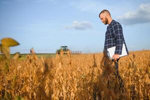 agricultor agrônomo dentro soja campo verificação plantações. orgânico Comida Produção e cultivo foto