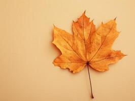 outono bordo folha em rachado superfície foto
