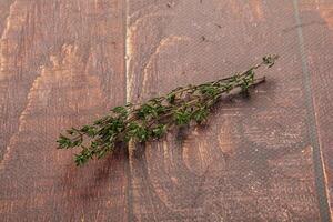 Tomilho - aromático tempero ervas plantar foto