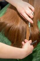 mãos do cabeleireiro cortar mulher grandes cabelo, fechar acima. foto