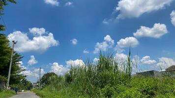 Relva e céu, alta Relva em a azul céu com nuvens foto