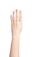mão mostrando 4 dedos acima isolado em branco fundo foto