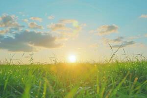 pôr do sol Sol e campo do verde fresco Relva debaixo azul céu foto