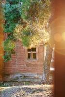 encantado de madeira casa com quebrado janelas dentro sereno floresta iluminado de dourado Sol. foto