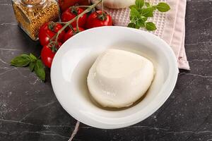 italiano queijo mozzarella búfalo bola foto