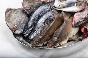 cru peixe misturar para cozinhando foto