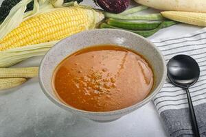 vegano cozinha - quente tomate sopa foto