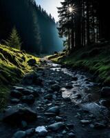 místico panorama do uma montanha corrente com pedras debaixo floresta marquise foto