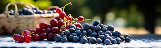 fresco fruta piquenique bandeira com uvas e amoras espalhar foto