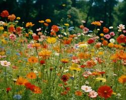 Prado preenchidas com ricamente colori flores cria uma animado e diverso verão pano de fundo foto