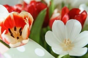 Primavera presente. brilhante tulipa ramalhete para uma especial marcha 8ª celebração foto