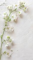 delicado branco flores em texturizado pano de fundo foto
