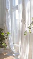 iluminado pelo sol puro cortinas e interior plantar foto