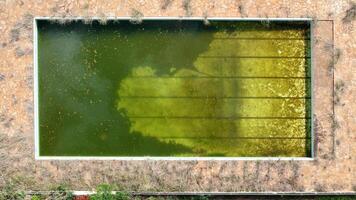 abandonado natação piscina com verde sujo água foto