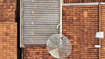 gato em casa cobertura foto