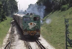 uma Visão do uma diesel trem dentro a EUA foto