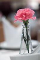 cravo rosa adornado em vasos de vidro finos colocados em uma mesa de jantar foto