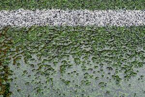 o campo de futebol de grama artificial se inunda com água foto