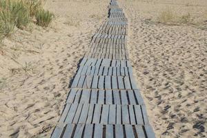 um caminho feito de tábuas em uma praia arenosa. foto