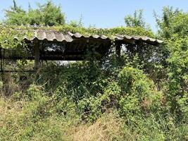 de madeira abandonado casa sobre verde Relva campo. foto