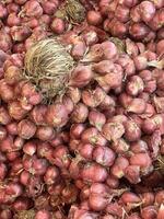 vermelho cebolas dentro a mercado foto