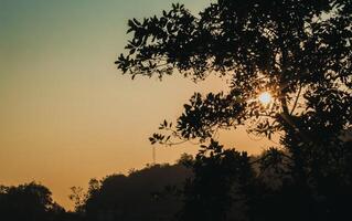 sillhuate árvore com Castanho e azul céu às pôr do sol foto