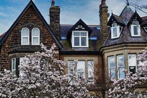 tradicional tijolo casa com empena telhados e janela que se projeta janelas, emoldurado de florescendo cereja árvores debaixo uma Claro azul céu dentro Harrogate, norte Iorque. foto